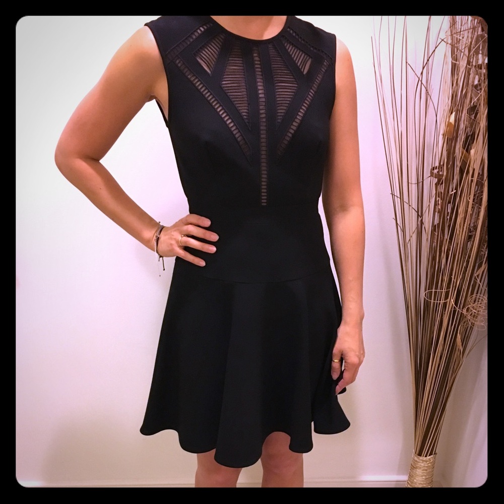 BCBG Skater Dress